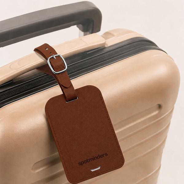 Checked luggage